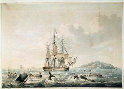 Südsee-Walfischerei, graviert von T. Sutherland von William John (after) Huggins