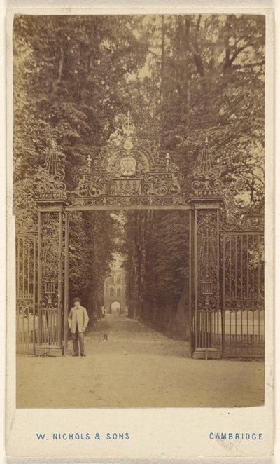 Trinity Cole Avenue von William Nichols and Sons