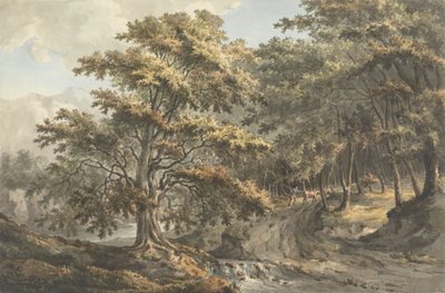 Landschaft mit Fluss und Viehtreiber im Hintergrund von William P. Sherlock