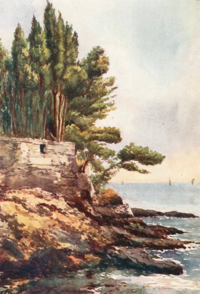 Capo Lungo, Nervi von William Scott