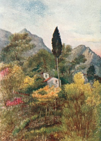  von William Scott
