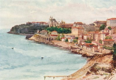 Monte Carlo von Osten von William Scott