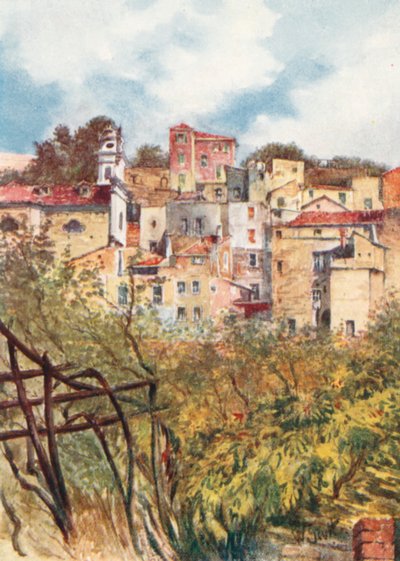  von William Scott