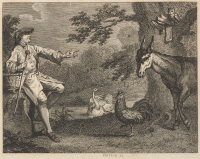 Die Eule, der Schwan, der Hahn, die Spinne, der Esel und der Bauer von William Skelton