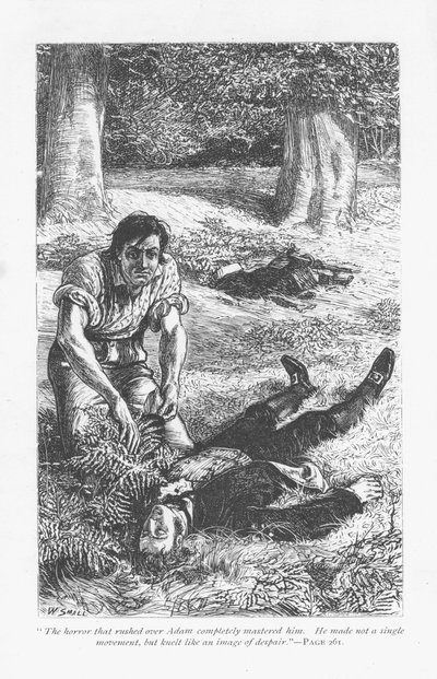 Adam Bede, nachdem er Arthur Donnithorne im Kampf besiegt hat, ist entsetzt, seinen Rivalen bewusstlos zu sehen. Adam Bede von George Eliot, erstmals veröffentlicht 1859. Illustration von William Small (1843-1929) aus einer Ausgabe um 1885. von William Small