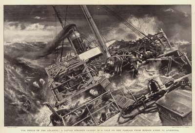 Die Gefahren des Atlantiks, ein Viehdampfer in einem Sturm auf ihrer Passage von Buenos Aires nach Liverpool von William Small
