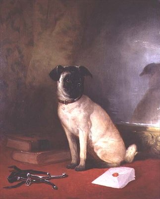 Reflexion - Porträt eines Mopses von William Snr. Shayer