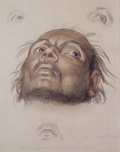 Studie eines Kopfes eines Ostinders, ca. 1875 (Kreide und Waschung auf Papier) von William Strutt