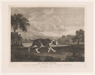 Spanischer Vorstehhund in Landschaft von William Woollett