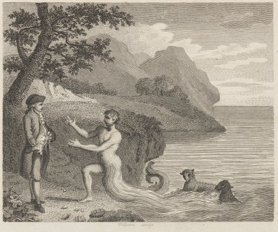 Höfling und Proteus von Wilson