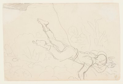 Muscheltaucher von Winslow Homer