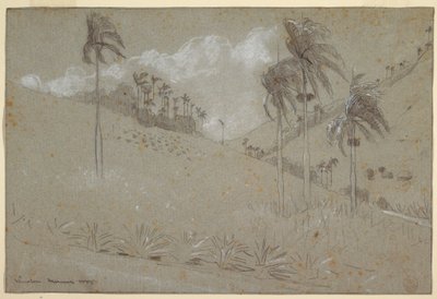 Kubaner Hügellandschaft, 1885 von Winslow Homer