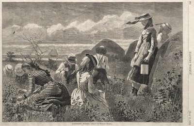 Beeren sammeln von Winslow Homer