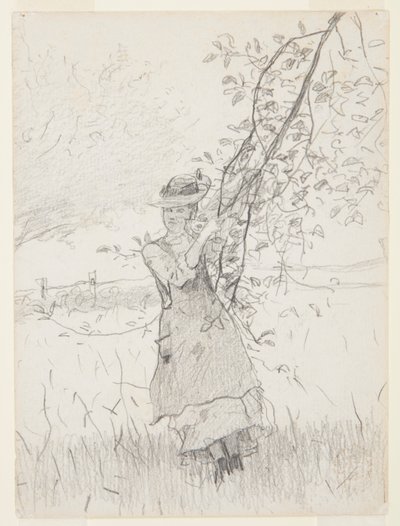 Mädchen mit einem Ast eines Apfelbaums von Winslow Homer