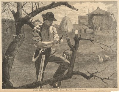 Frühjahrsarbeiten auf dem Bauernhof von Winslow Homer