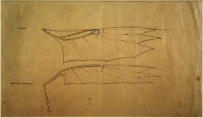 Flügel des Letatlin von Wladimir F. Tatlin