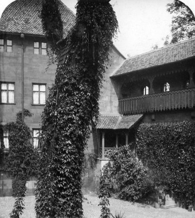 Lindenbaum in einem Hof, Nürnberg, Bayern, Deutschland, ca. 1900er Jahre von Wurthle and Sons
