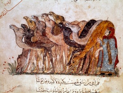 Eine Gruppe von Kamelen und ein Kamel, Karawane in der Wüste. Seite aus „Maqamat“ (Seancen), Schelmenpoem des 11. Jahrhunderts von dem arabischen Dichter Abu Mohammed al-Kasim ibn Ali Hariri (oder Al-Hariri) (1054-1122) illustriert von Al-Wasiti von Yahya ibn Mahmud Al Wasiti