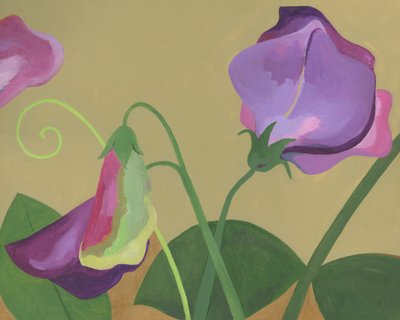 Lila Süße Erbsenblüten von Yvonne Gustafsson