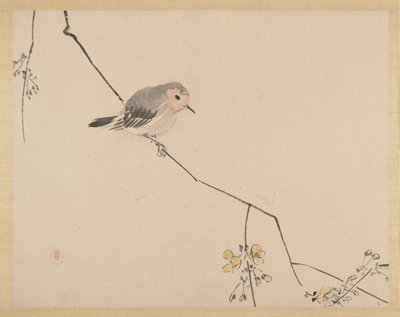 Gemälde von Zeshin Shibata