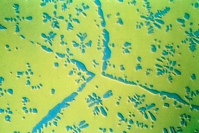 Metalle, Nichteisenmetalle, LM Kupfer-Zink-Binärlegierung von Frederick (attr. to) Barnard