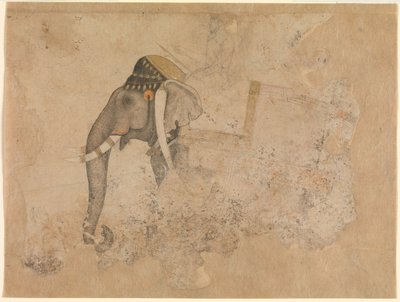 Hashim. Elefant und Reiter. ca. 1640, Metropolitan Museum of Art, New York von Hashim