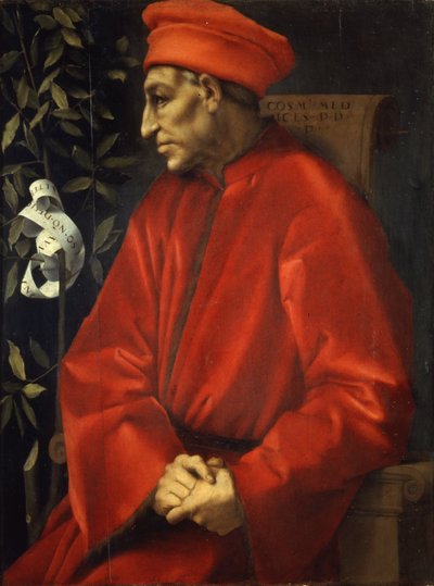Porträt von Cosimo dem Älteren von Pontormo