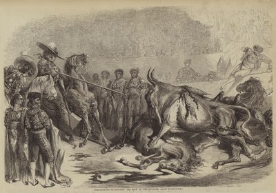 Stierkampf in Bayonne, der Schlag des Picadors von Gustave after Dore