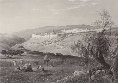 Die Stadt Jerusalem von after Harry Fenn
