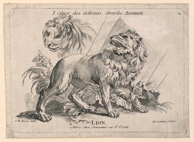 Studien von Löwen, Platte 4 aus "Cahier des Desseins Diverses Animeaux" von after Jean Baptiste Huet