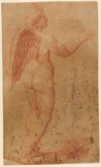 Amor streitet mit Zeus, nach Raffael von after Raphael