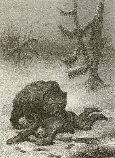 Der Bär und die zwei Gefährten von after Tony Johannot