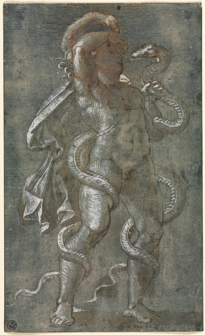 Mann, von zwei Schlangen umschlungen von attributed to Giovanni Antonio da Pordenone