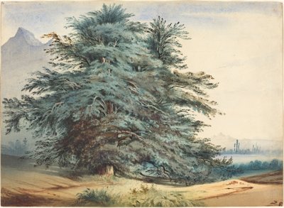 Zwei alte Bäume vor einem Berggipfel von attributed to Jules Dupré