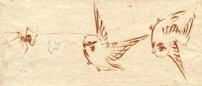 Skizzenseite mit Vögeln und Spinne von attributed to Katsushika Hokusai
