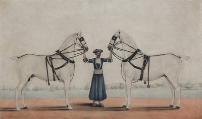 Ein Syce-Groom hält zwei Kutschpferde von attributed to Shaikh Muhammad Amir of