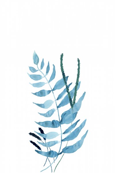 Blaue Aquarellfarne von cartissi