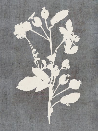 Botanische Rosensilhouette von cartissi