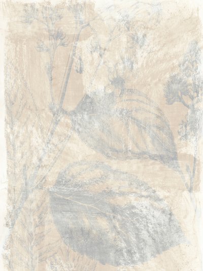 Erdige Botanische Schichten von cartissi