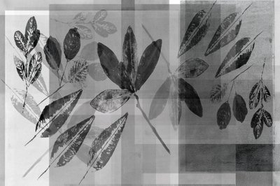 Monochrome botanische Schichten von cartissi