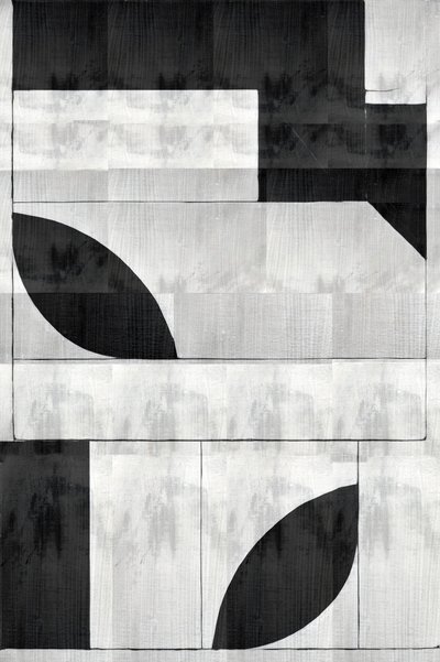 Monochrome organische Formen von cartissi