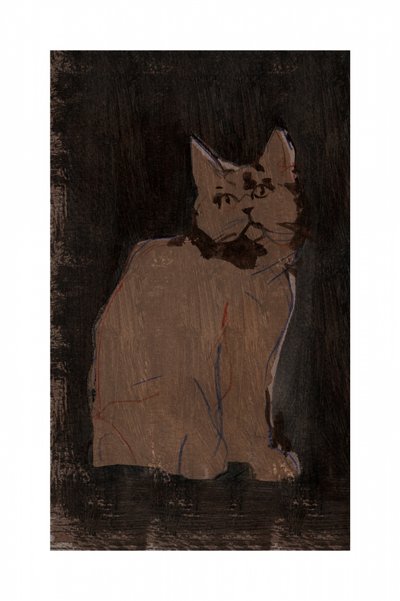 Stimmungsvolles Katzenporträt von cartissi