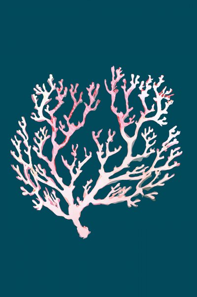 Weiche Rosa Koralle von cartissi
