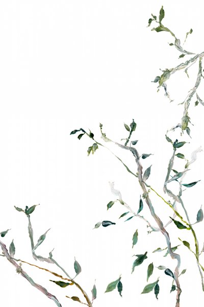 Aquarellgrüne Blätter von cartissi