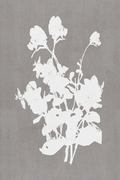 Weiße Blumensilhouette von cartissi