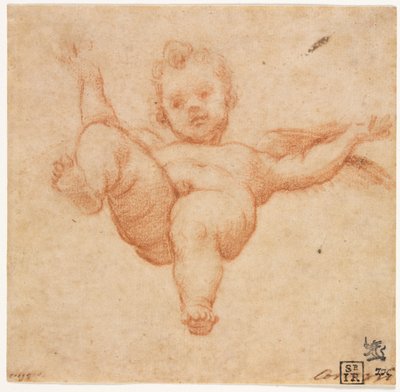 Fliegender Amor von follower of Annibale Carracci