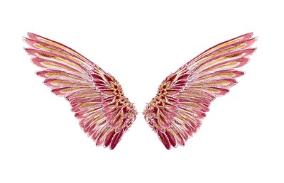 Streit der Spatzen, 2016 von julia McKenzie