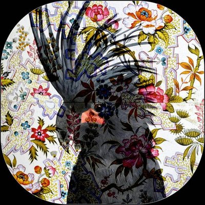 Schwarzer Papagei von linda arthurs