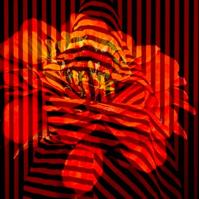 Blumencollage, 2017 von linda arthurs