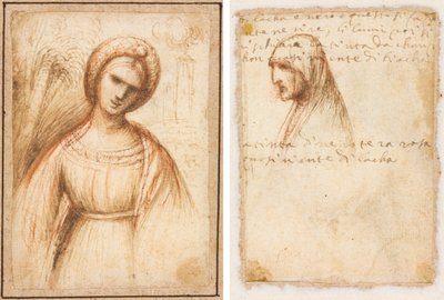 Dame in einer Landschaft (recto); Profil einer alten Frau in Brustlänge (verso) von possibly by Dosso Dossi